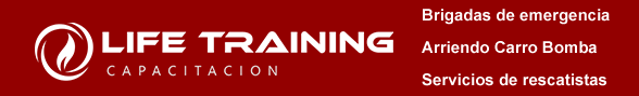 Life Trainig capacitaci&oacute;n para empresas  en chile 